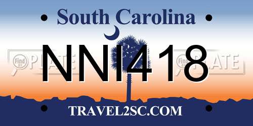 NNI418 South Carolina License Plate