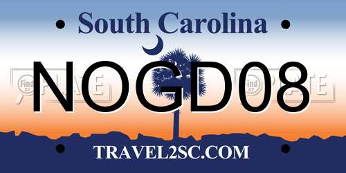 NOGD08 South Carolina License Plate