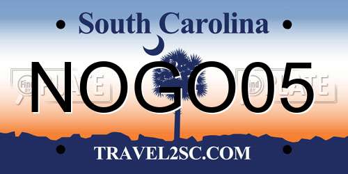 NOGO05 South Carolina License Plate