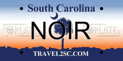 NOIR South Carolina License Plate