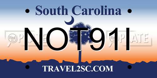 NOT91I South Carolina License Plate