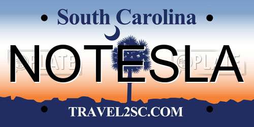 NOTESLA South Carolina License Plate