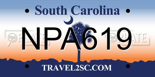 NPA619 South Carolina License Plate