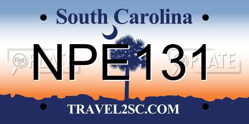 NPE131 South Carolina License Plate