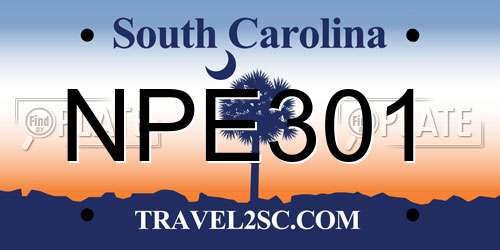 NPE301 South Carolina License Plate
