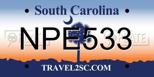 NPE533 South Carolina License Plate