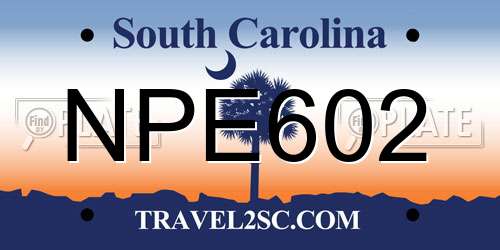 NPE602 South Carolina License Plate