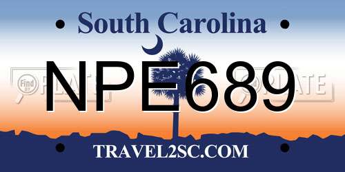 NPE689 South Carolina License Plate
