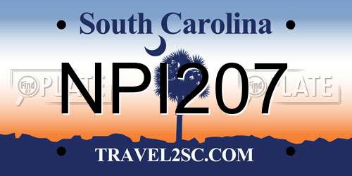 NPI207 South Carolina License Plate