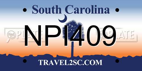 NPI409 South Carolina License Plate