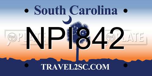 NPI842 South Carolina License Plate
