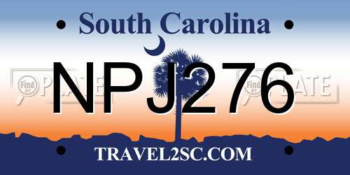 NPJ276 South Carolina License Plate