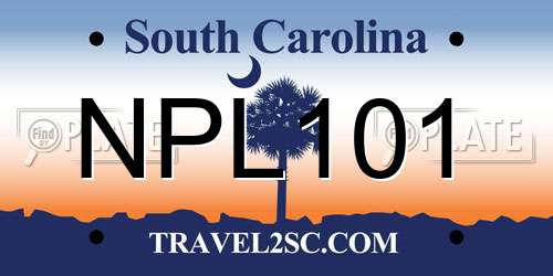NPL101 South Carolina License Plate
