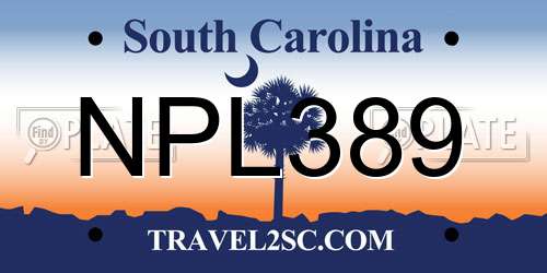 NPL389 South Carolina License Plate