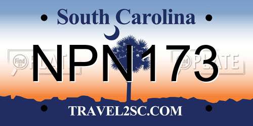 NPN173 South Carolina License Plate