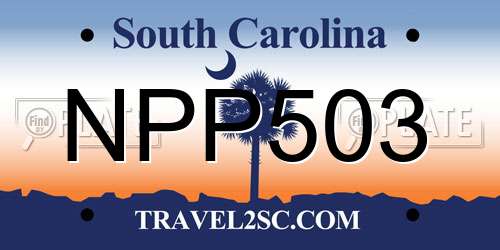 NPP503 South Carolina License Plate