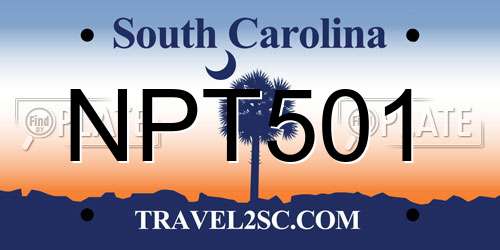NPT501 South Carolina License Plate