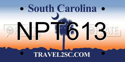 NPT613 South Carolina License Plate