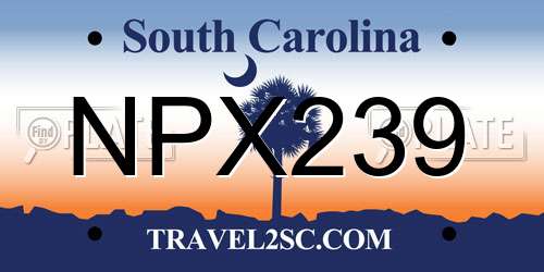 NPX239 South Carolina License Plate