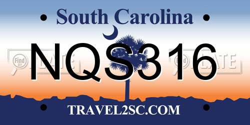 NQS316 South Carolina License Plate