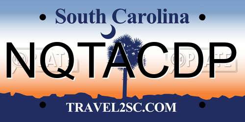 NQTACDP South Carolina License Plate
