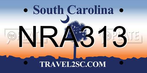 NRA313 South Carolina License Plate
