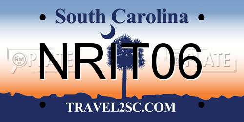 NRIT06 South Carolina License Plate