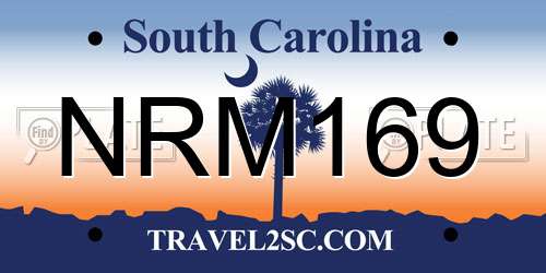 NRM169 South Carolina License Plate