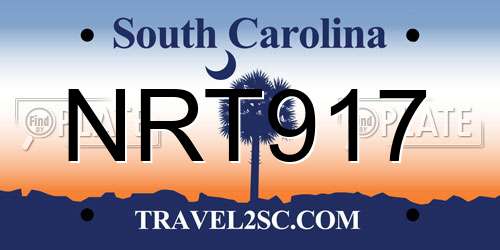 NRT917 South Carolina License Plate
