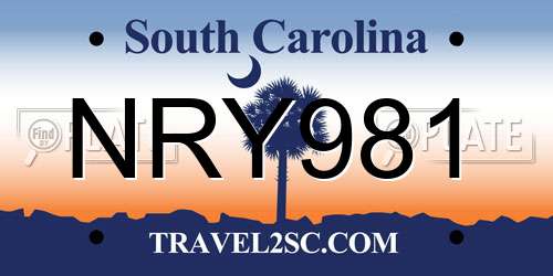 NRY981 South Carolina License Plate
