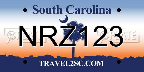 NRZ123 South Carolina License Plate