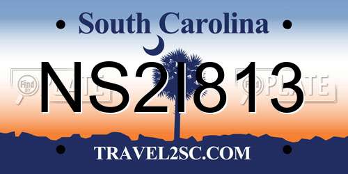 NS2I813 South Carolina License Plate