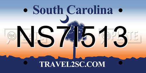 NS7I513 South Carolina License Plate