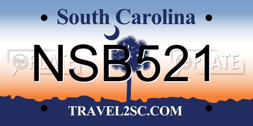 NSB521 South Carolina License Plate