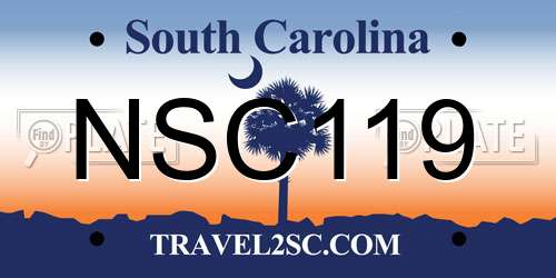 NSC119 South Carolina License Plate