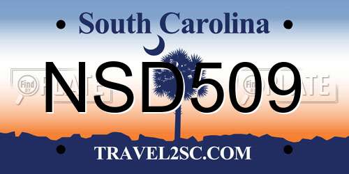 NSD509 South Carolina License Plate