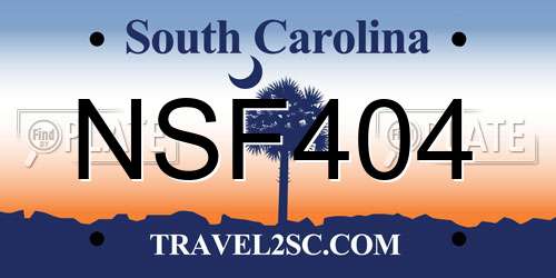 NSF404 South Carolina License Plate
