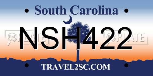 NSH422 South Carolina License Plate