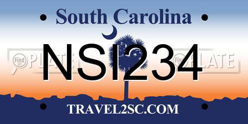 NSI234 South Carolina License Plate