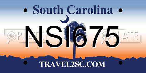 NSI675 South Carolina License Plate