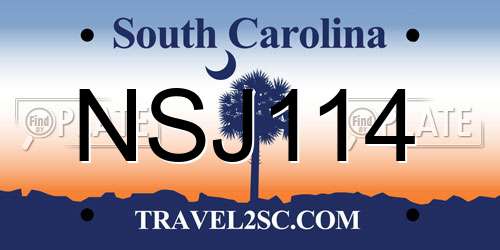 NSJ114 South Carolina License Plate