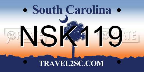 NSK119 South Carolina License Plate