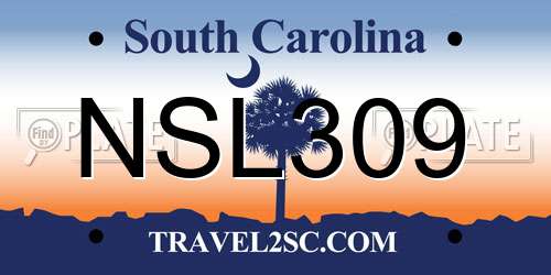 NSL309 South Carolina License Plate