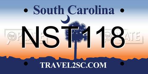 NST118 South Carolina License Plate