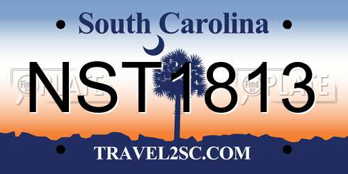 NST1813 South Carolina License Plate