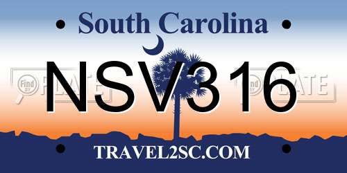 NSV316 South Carolina License Plate
