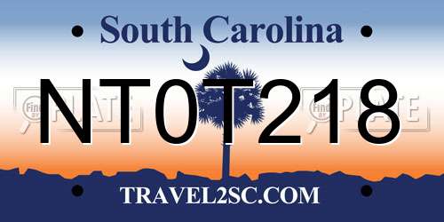 NT0T218 South Carolina License Plate