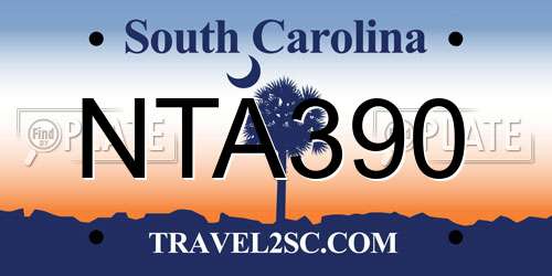 NTA390 South Carolina License Plate