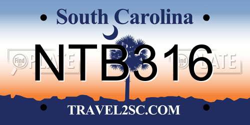NTB316 South Carolina License Plate