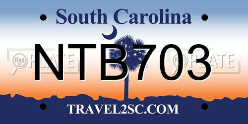 NTB703 South Carolina License Plate